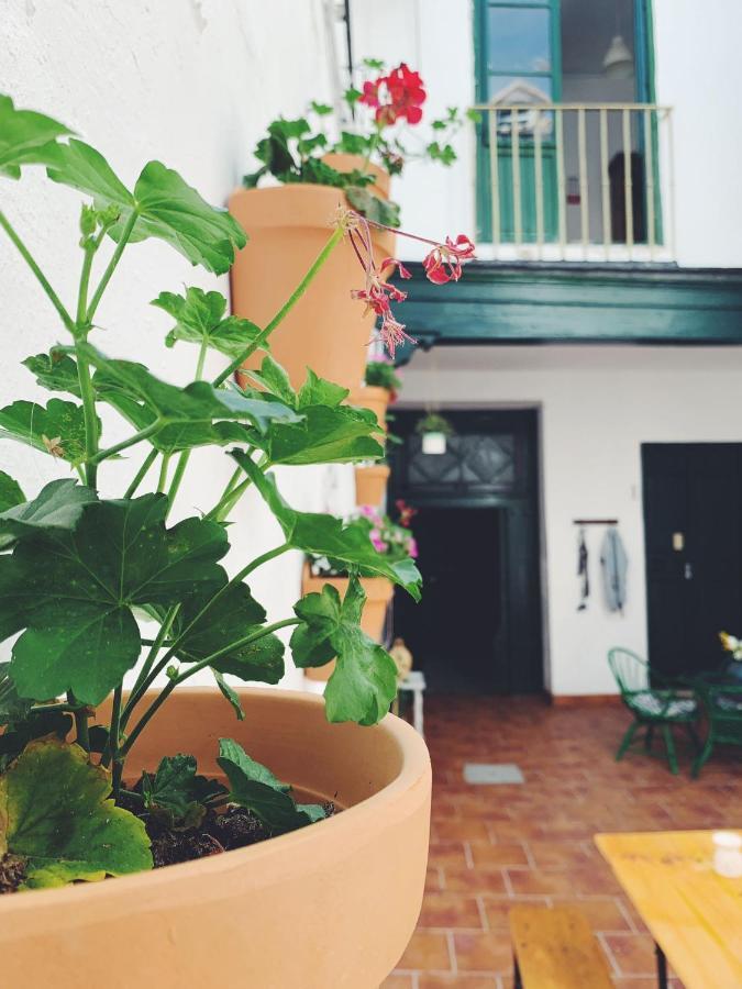 Maria Magdalena - Room 3 Málaga Dış mekan fotoğraf