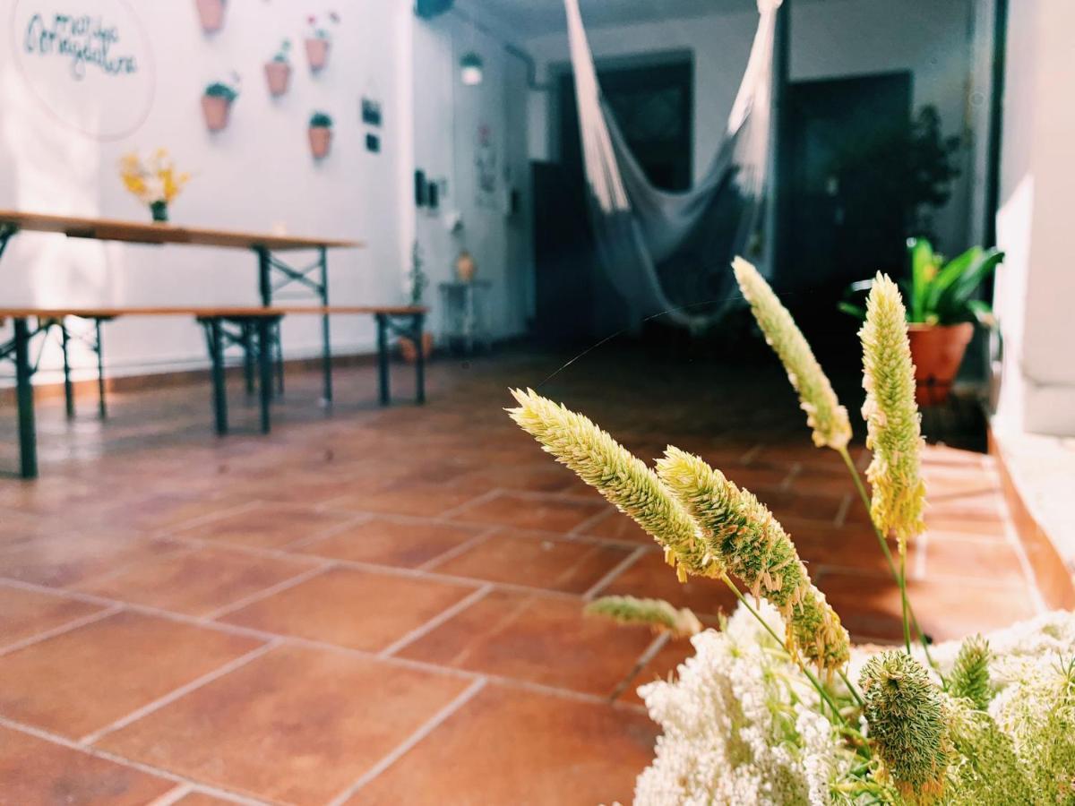 Maria Magdalena - Room 3 Málaga Dış mekan fotoğraf