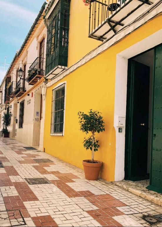 Maria Magdalena - Room 3 Málaga Dış mekan fotoğraf